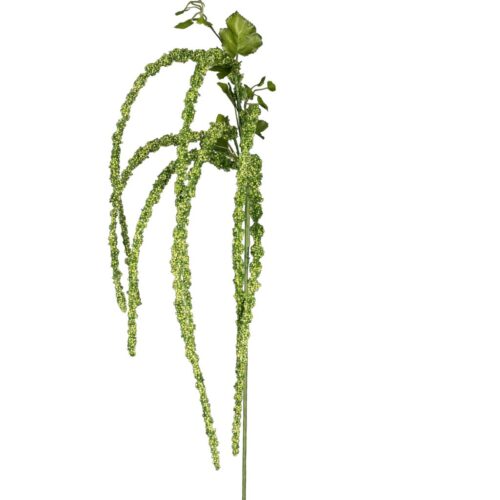 Amaranthus grøn h 94 cm