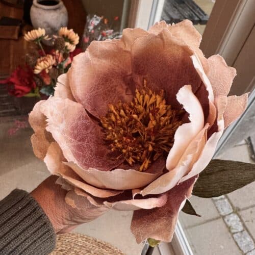 Peony lys rosa h 56 cm
