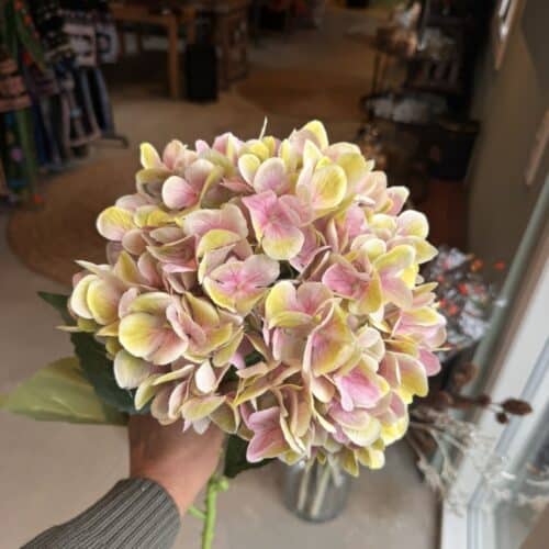 Hortensia XL rosa h 79 cm